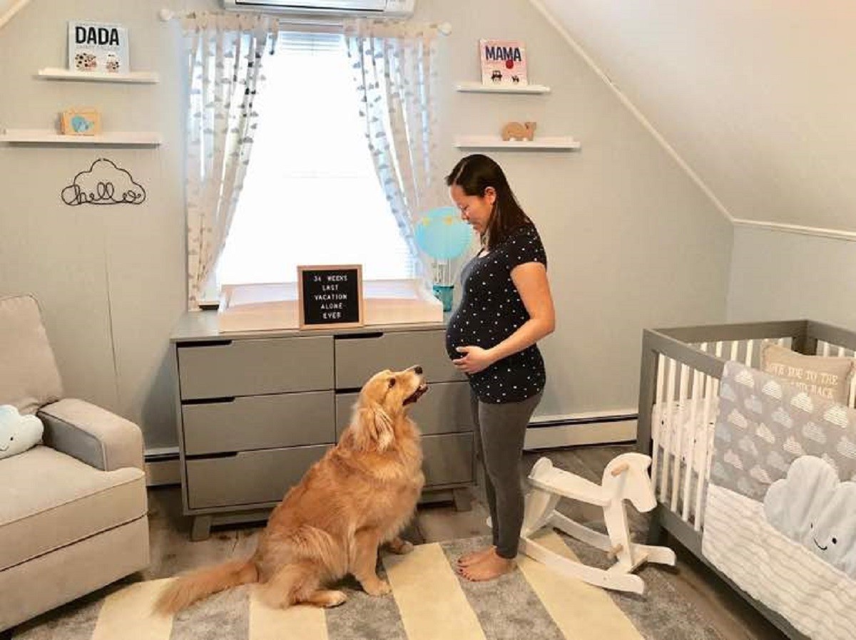 Cucciolo golden retriever innamorato del suo piccolo umano (VIDEO)