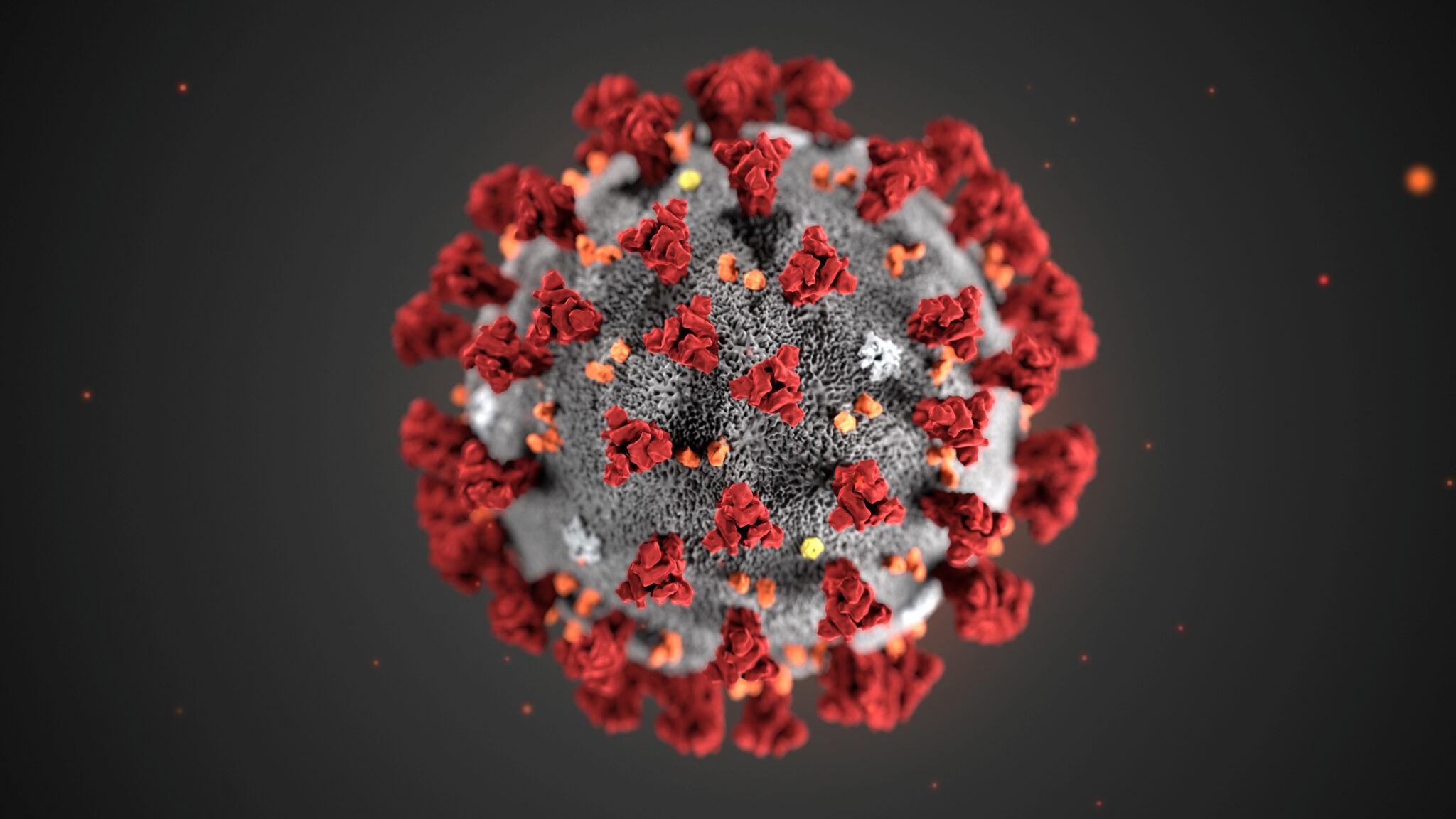 corona-virus-scaled