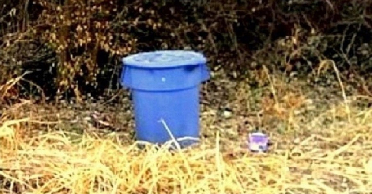 Cucciolo di cane salvato dopo essere stato abbandonato in un contenitore ben sigillato