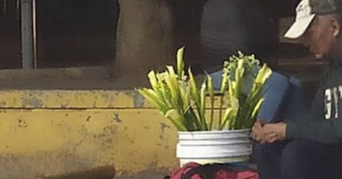 Il povero venditore di fiori