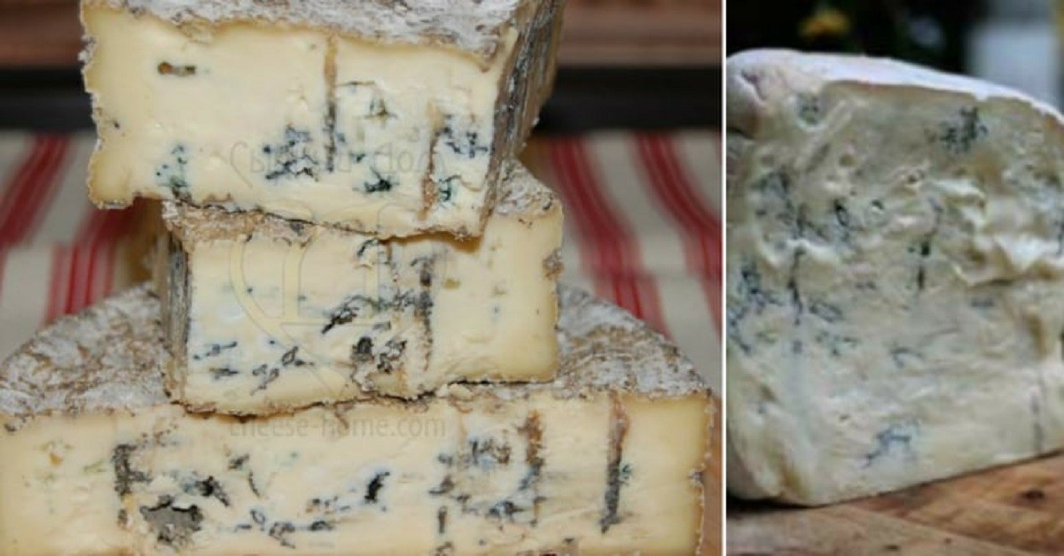 Cosa succede se si mangia formaggio ammuffito