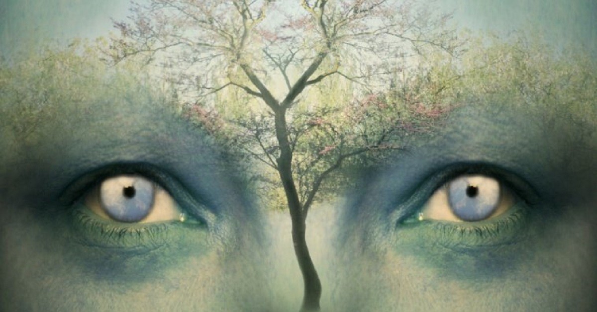 Il test dell’albero di Karl Koch ti dice cosa ti fa soffrire emotivamente