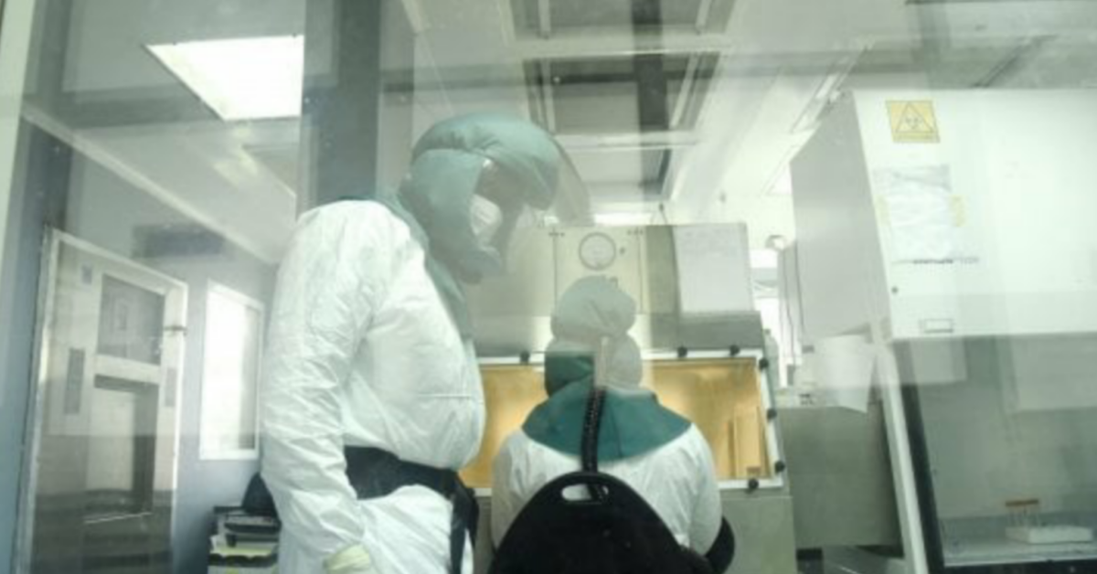Coronavirus, farmaco antimalarico efficace per guarire