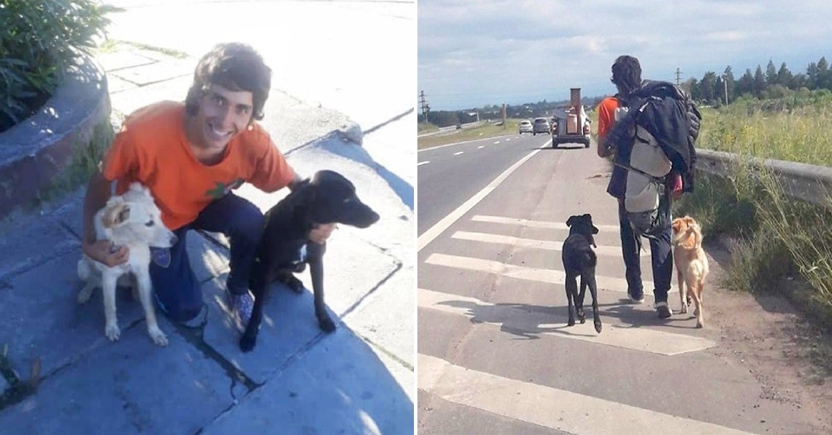 Viaggiatore torna nel suo paese camminando per non abbandonare i cuccioli appena adottati