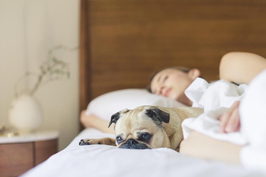 Perché dormire con un cane ti renderà la donna più felice del mondo