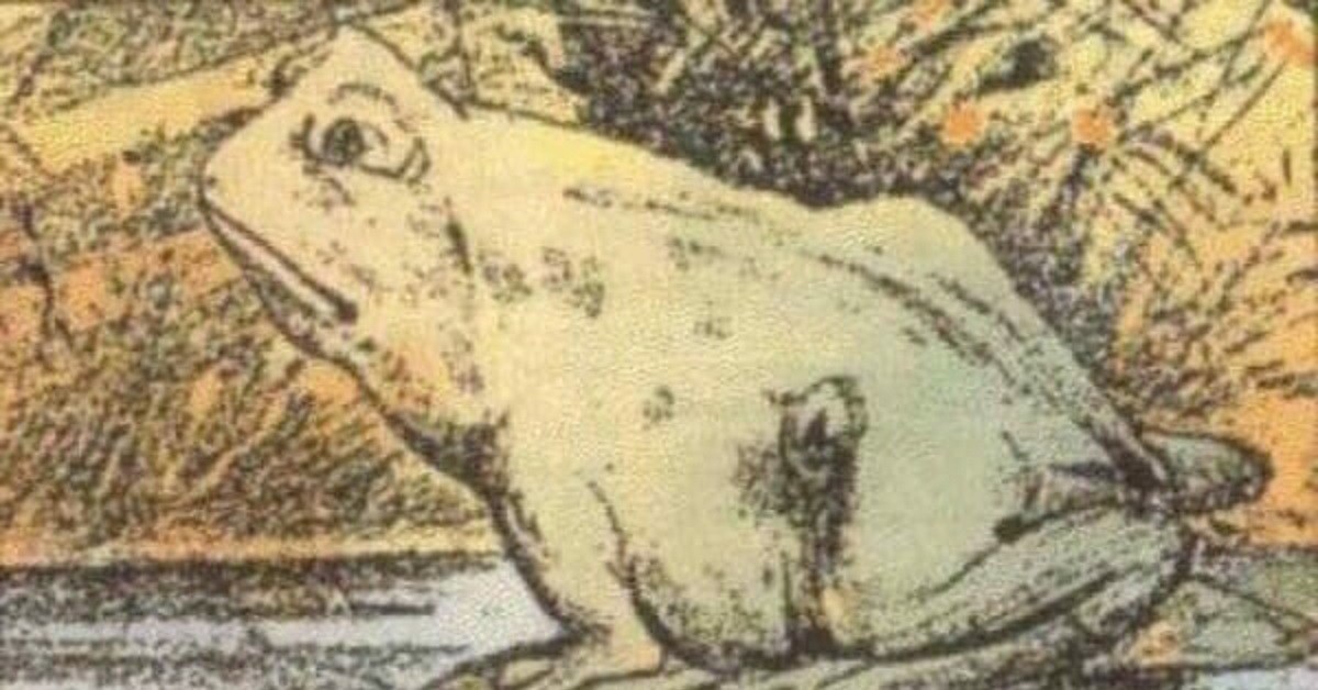 C’è un cavallo nascosto in questa foto: riesci a trovarlo?