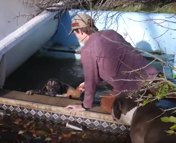 ragazzi-salvano-la-vita-del-cane-caduto-in-acqua 2