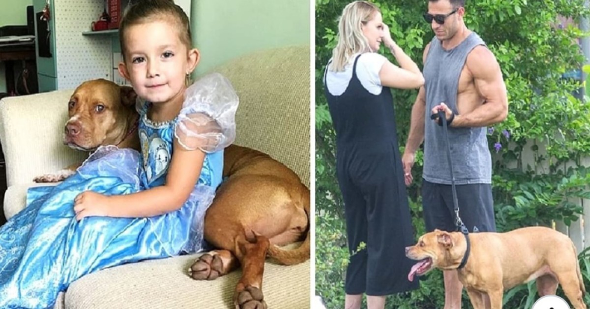 Tutta la famiglia muore, il cane trova consolazione grazie a nuovi genitori