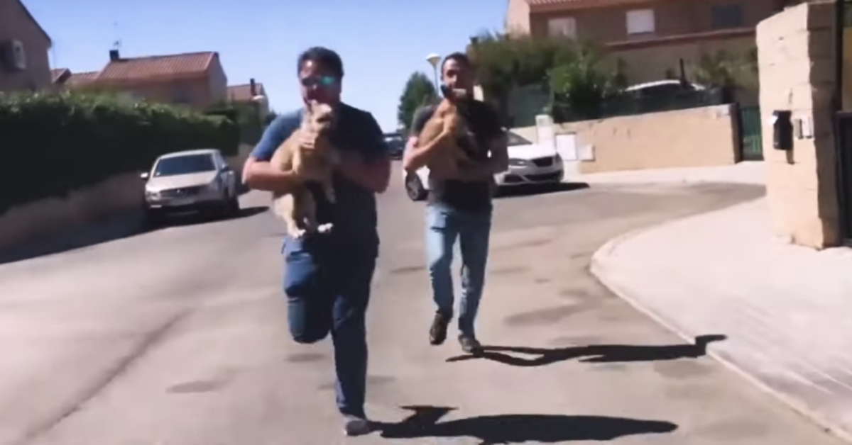Il salvataggio di Johnny e Carly, tenuti in un cortile in orribili condizioni