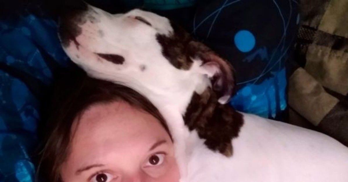 Cagnolina si accorge che il suo padrone non respira più. Sveglia la moglie e lo salva.