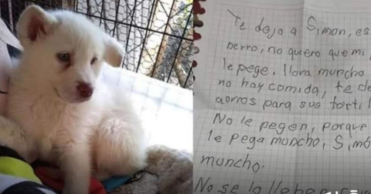Bambino lascia il suo cane in un rifugio, insieme ad una lettera commovente