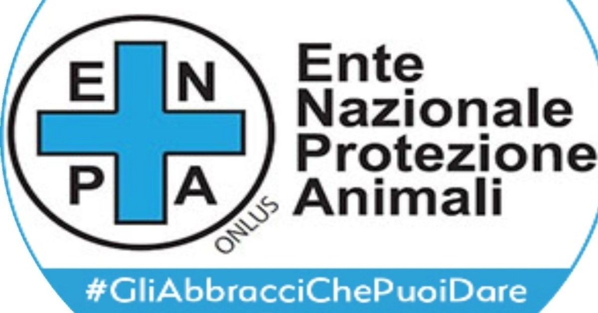 La campagna dell’ENPA, dopo l’appello della Protezione Civile: #GliAbbracciChePuoiDare