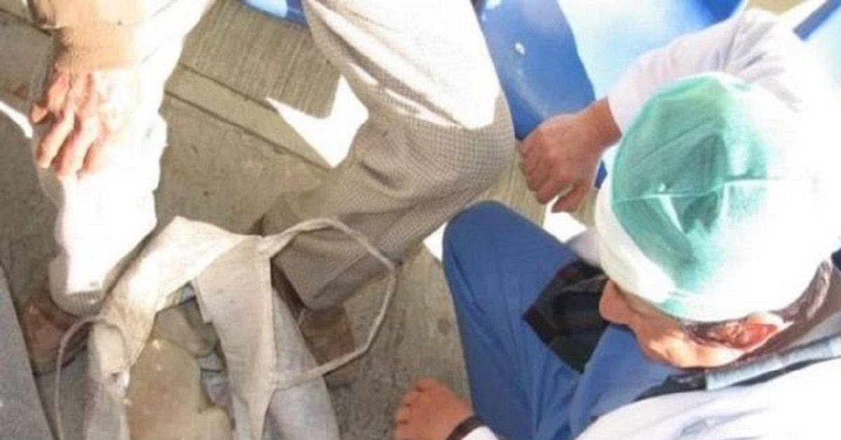 Nonno disperato porta il cane in un ospedale, ecco come reagisce il dottore