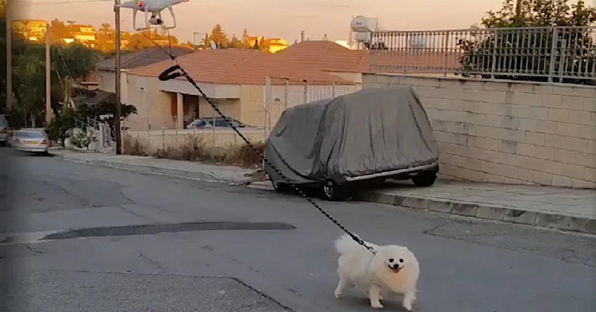 In quarantena, il giovane porta a spasso il suo cane con un drone