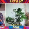 caterina-balivo-telefonata