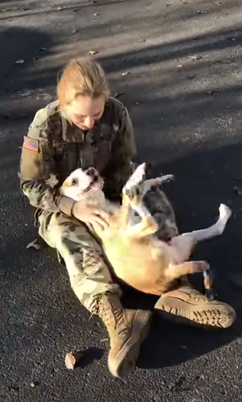 Il soldato ed il suo cane