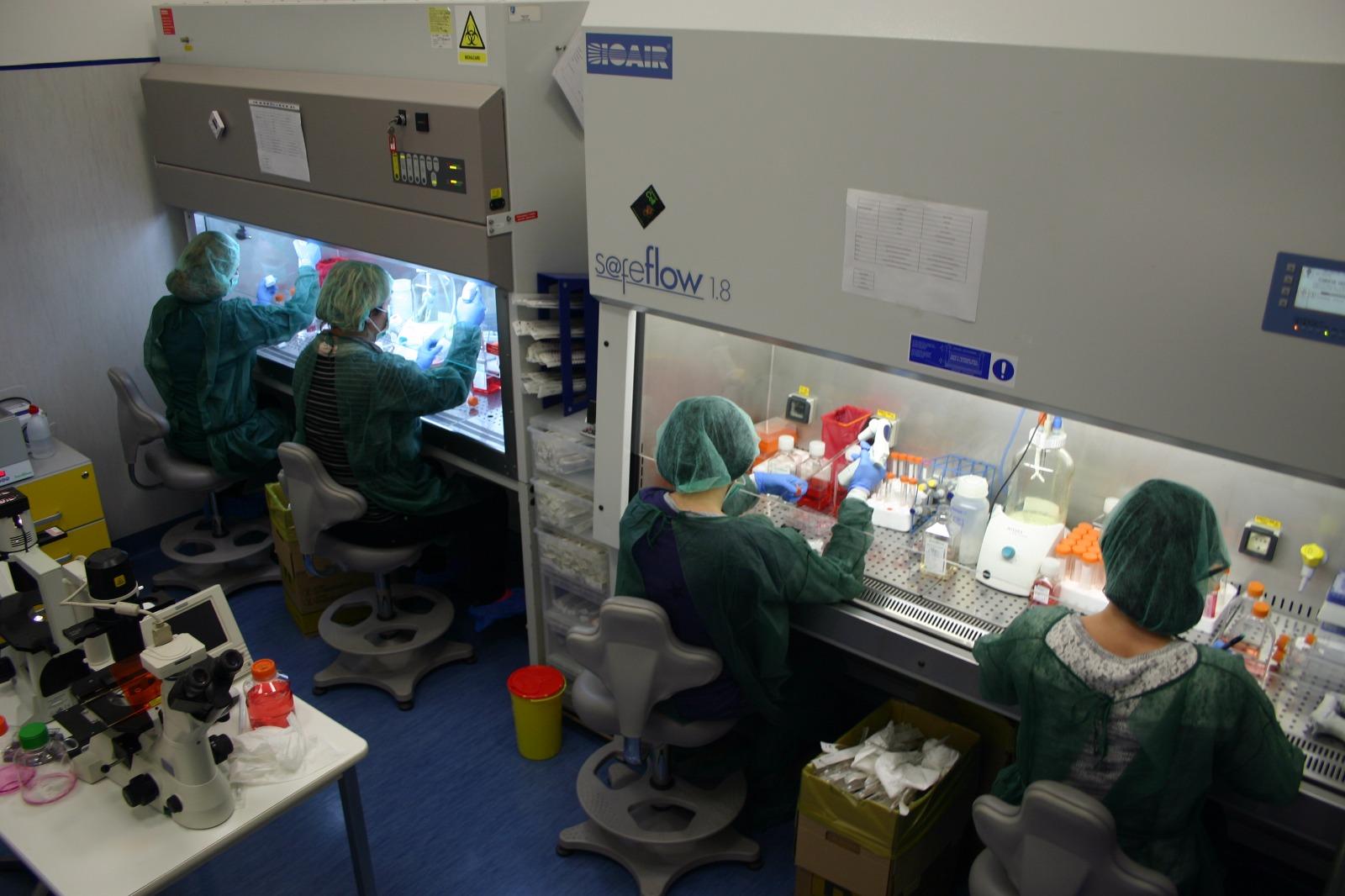 laboratorio-infermiere