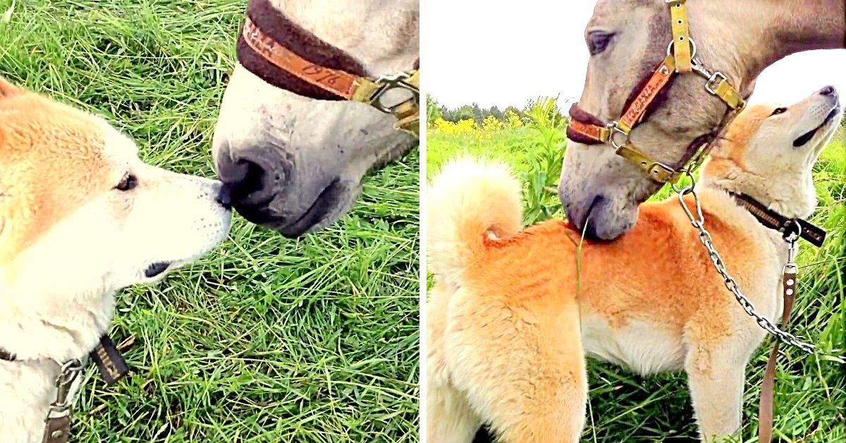 L’emozionante riunione tra Balu e Rita