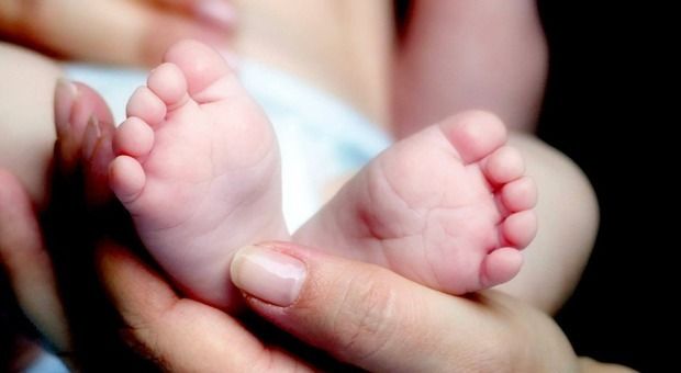 trovato-neonato-abbandonato-in-mezzo-al-bosco-ormai-senza-vita