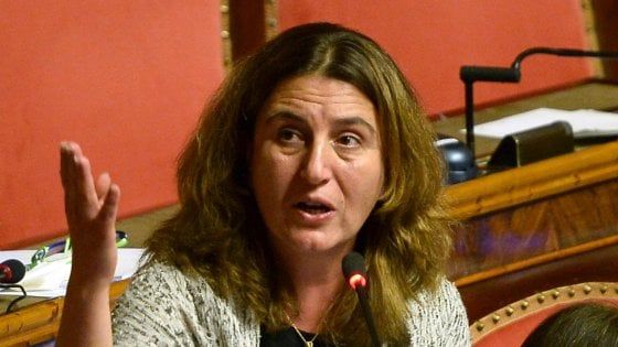 nunzia-catalfo-pensioni