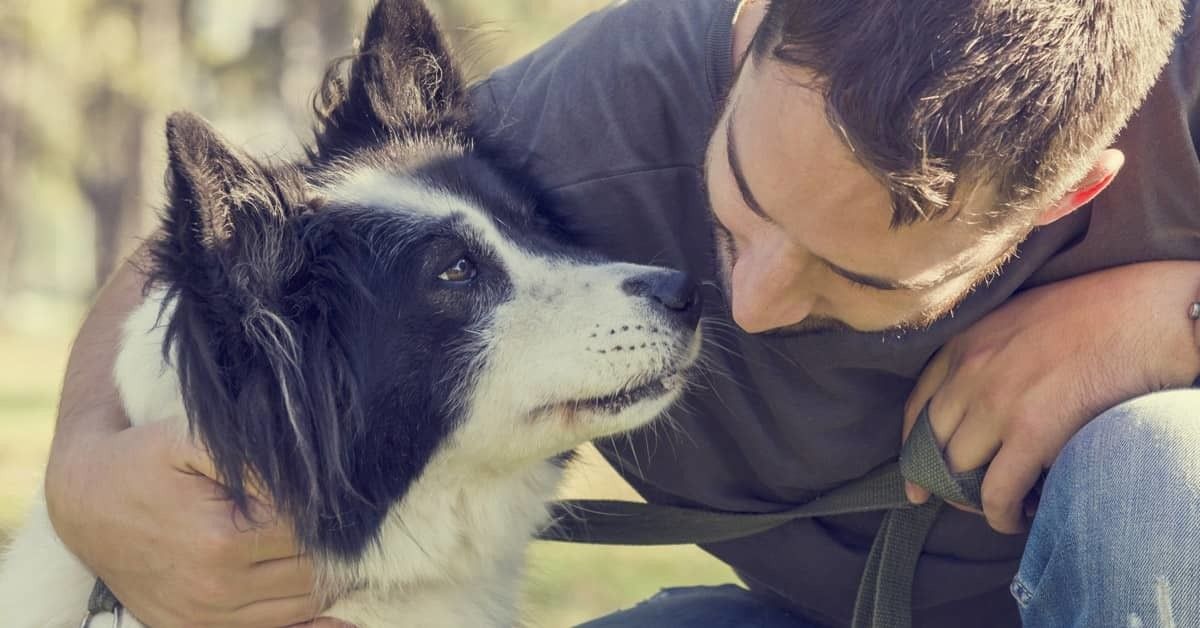 Gli errori più comuni nella cura del cane