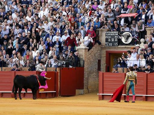 toro-corrida