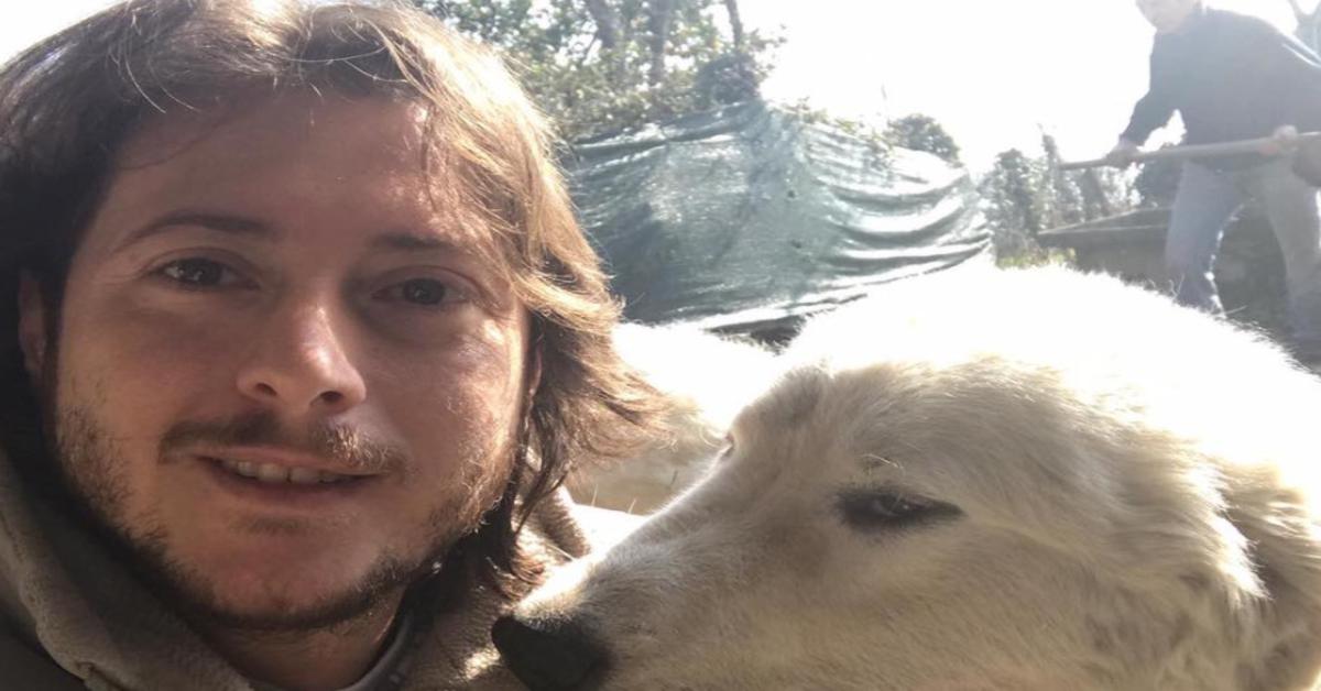 Che fine ha fatto Mirco Petrilli? Il vincitore del Grande Fratello 13