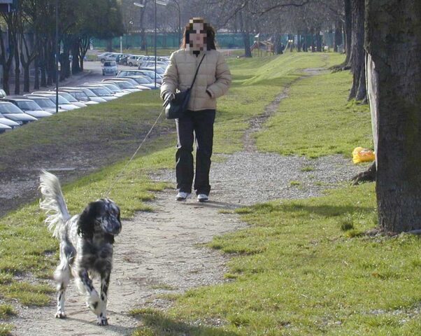 donna porta il cane in un'area verde chiusa multata 1