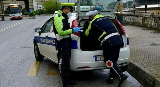 donna porta il cane in un'area verde chiusa multata