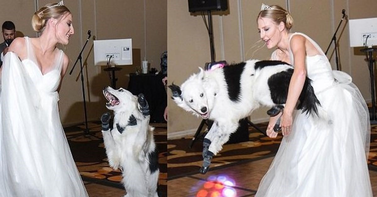 Il ballo al matrimonio di Sara e Hero