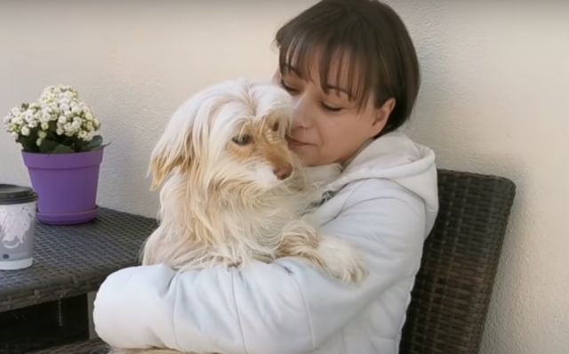 Krispy la cagnolina che ha vissuto da randagia per molto tempo