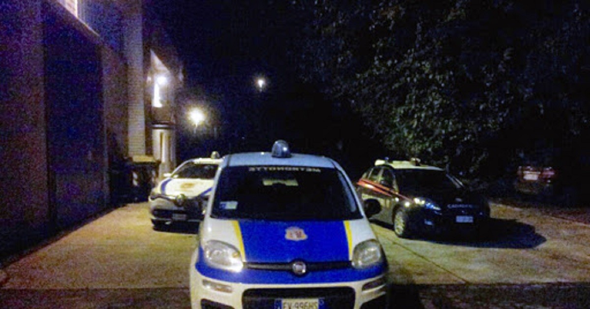 Abbandonato cane a Piacenza, salvato da un vigilantes