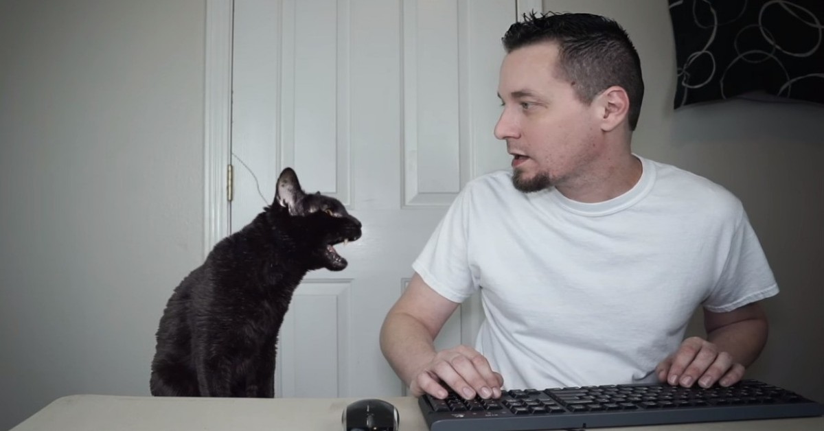 Il noto youtuber Steve Cash si è tolto la vita