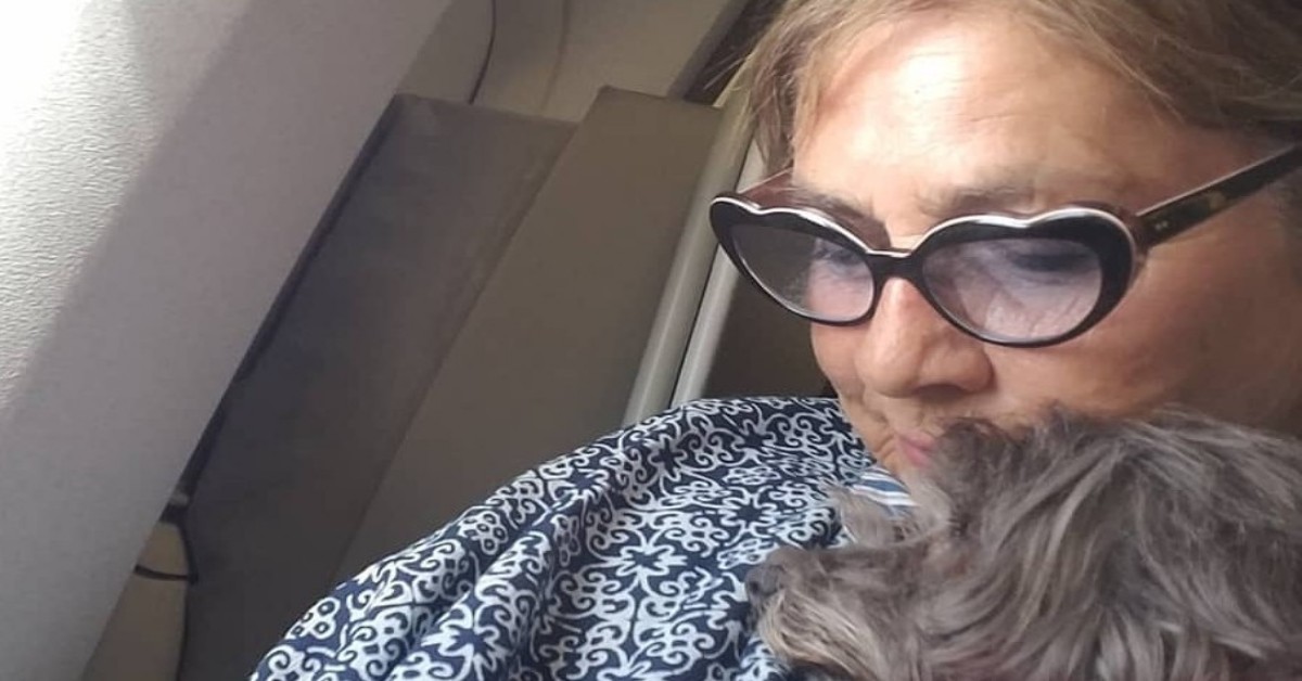 L’appello di Romina Power: “i cani non contagiano. Non abbandonateli”.