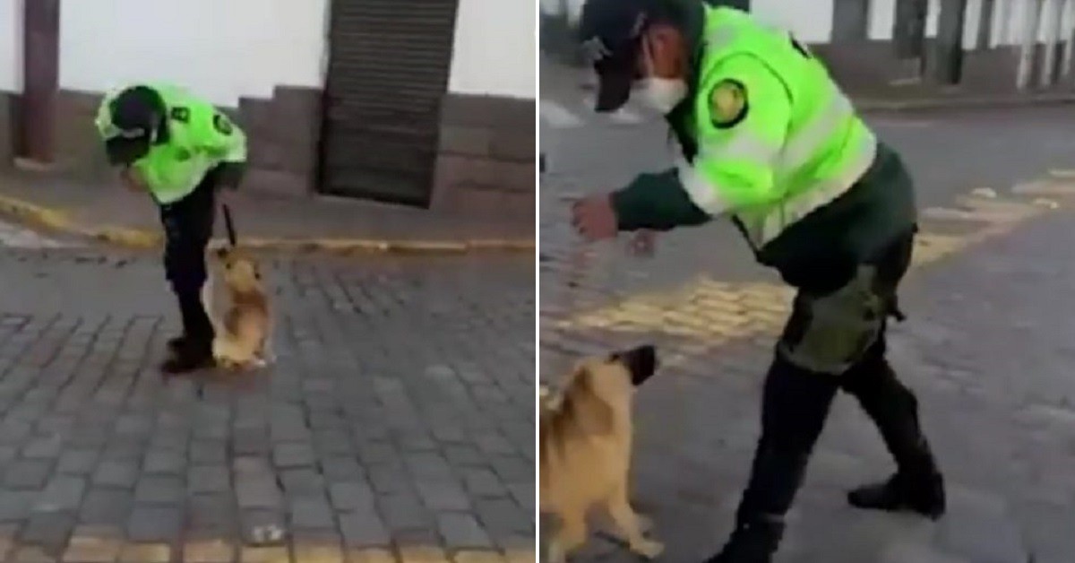 La reazione degli agenti di polizia quando hanno visto 6 cani di strada durante la quarantena
