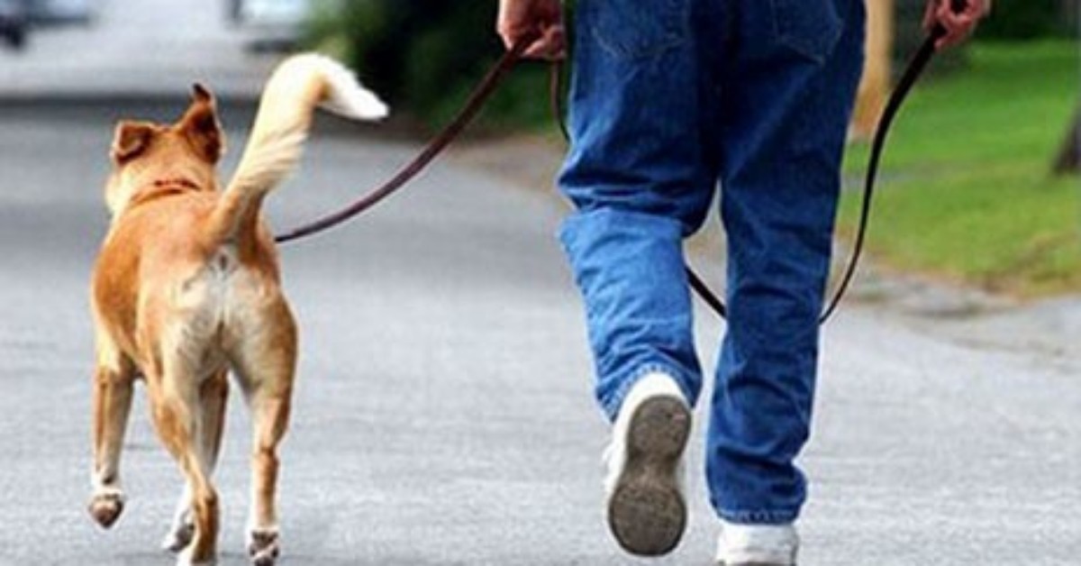 Botticino, 59enne usa il cane come scusa per uscire, ma il suo scopo era un altro