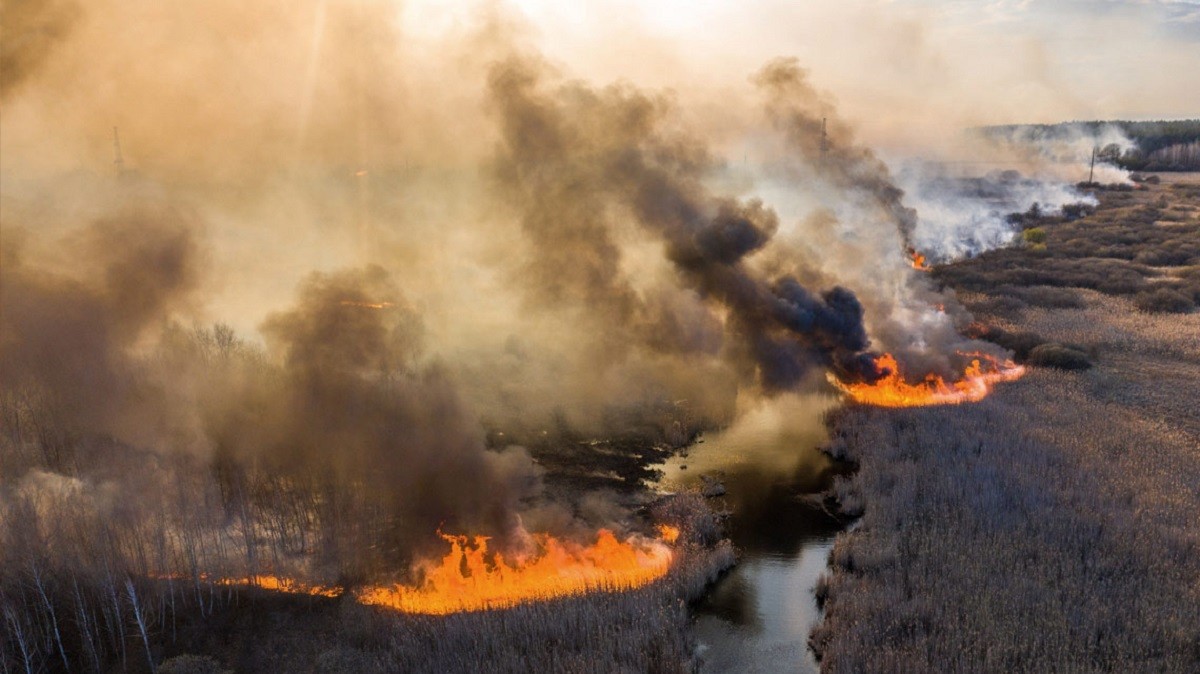 incendi a chernobyl