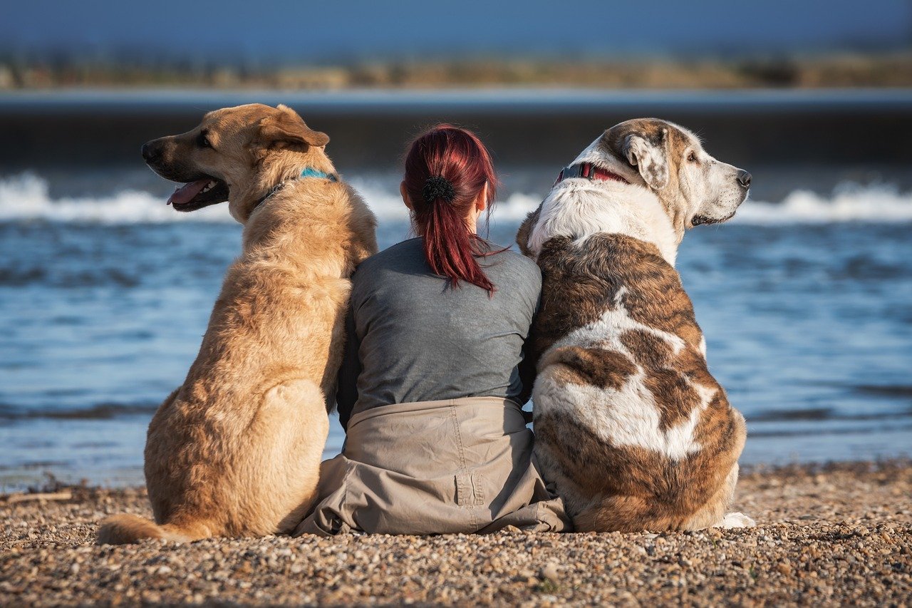 donna e cani