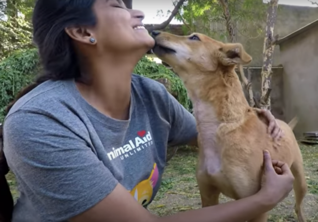 il salvataggio di una cagnolina chiamata Sunny Day