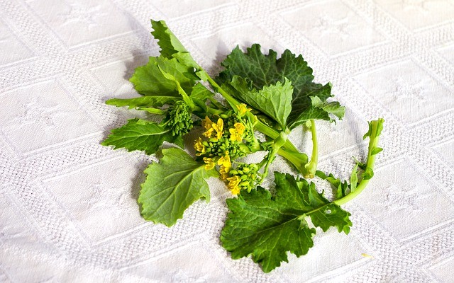 cime di rapa