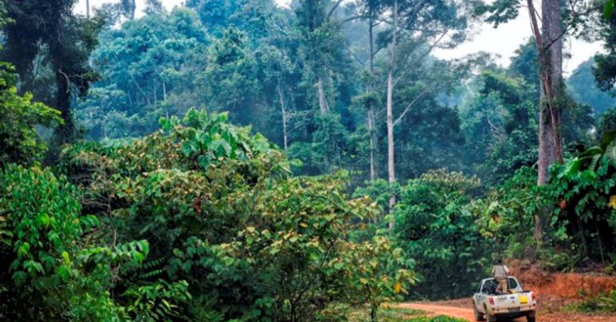 Earth Day. Come si prepara il mondo alla giornata della Terra