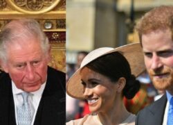 principe-carlo-harry-meghan