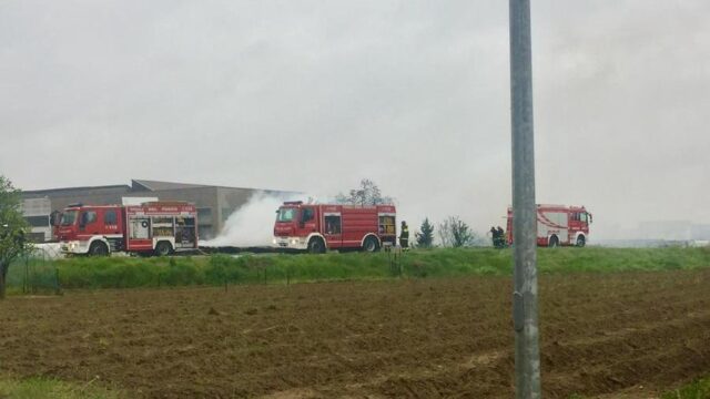 Incendio a Santena morti 5 cani solo uno è stato salvato