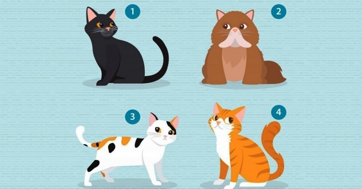 Scegli un gatto e ti dirà di più sulla tua personalità