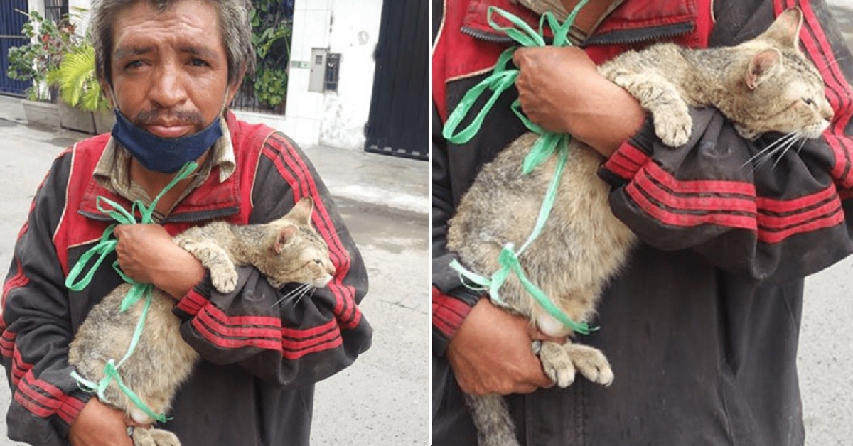 Senzatetto costretto ad abbandonare un gatto continua ad accudirlo