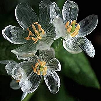 skeleton-flowers