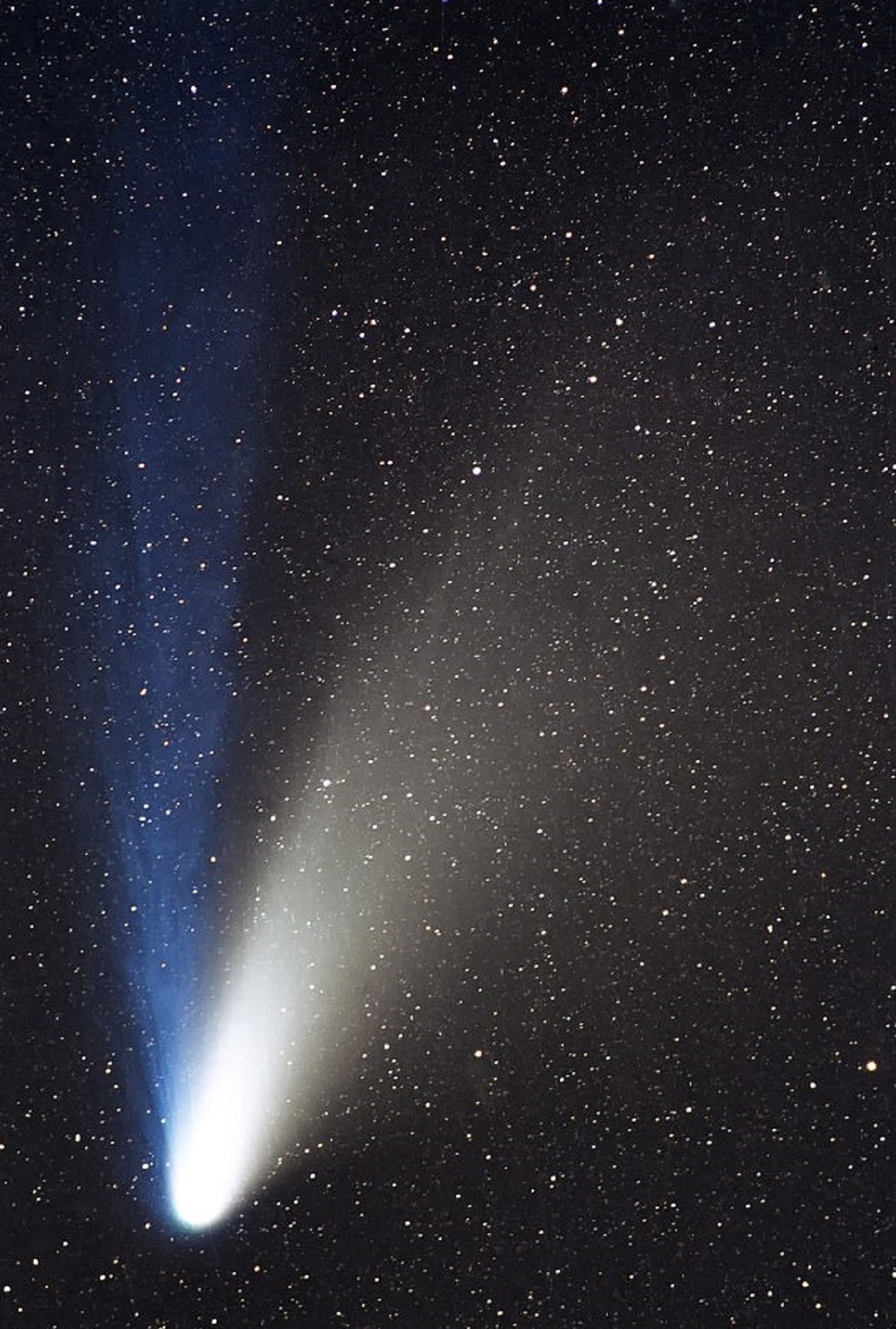 cometa