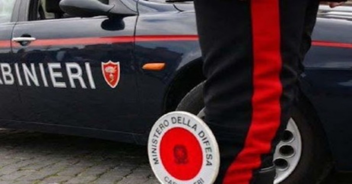 Rimini, spruzza la vernice rossa sul suo cane e finge che sia ferito. Denunciato e multato.