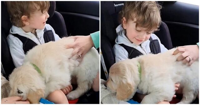 Un cane in regalo per un bambino autistico