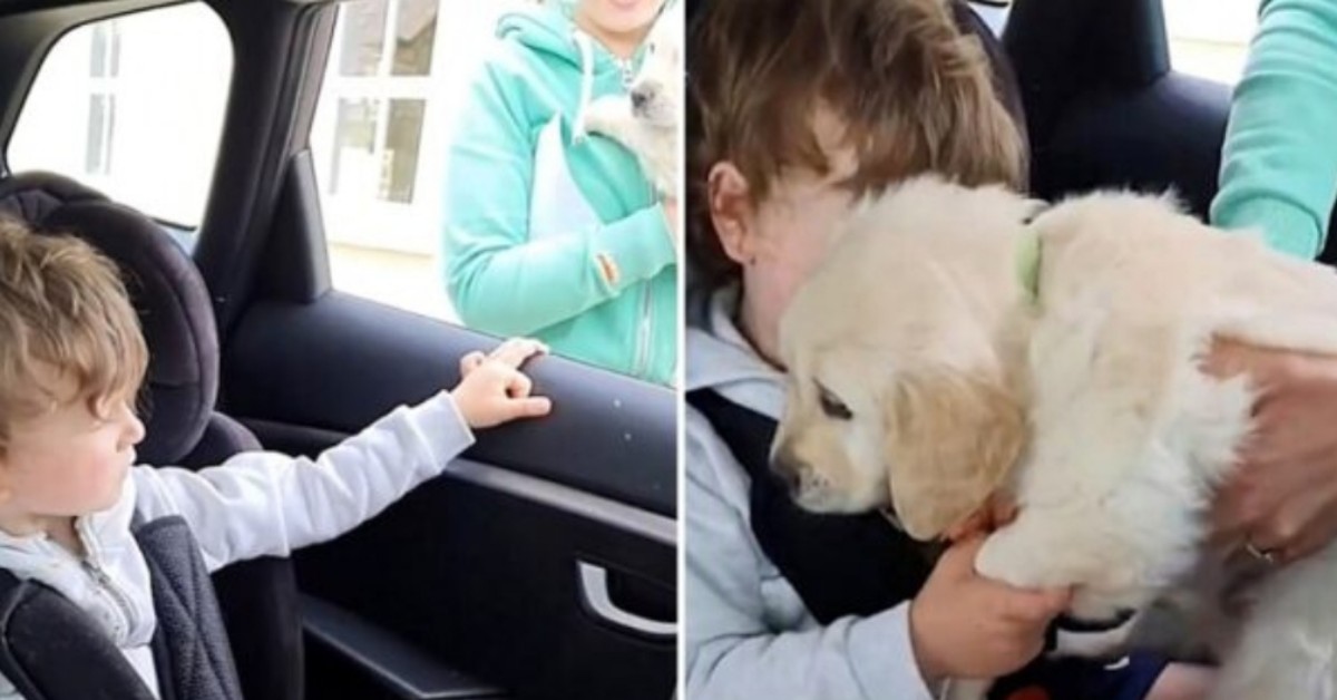 Bambino autistico, costretto in quarantena, si riempie di gioia quando i suoi genitori gli regalano un cane